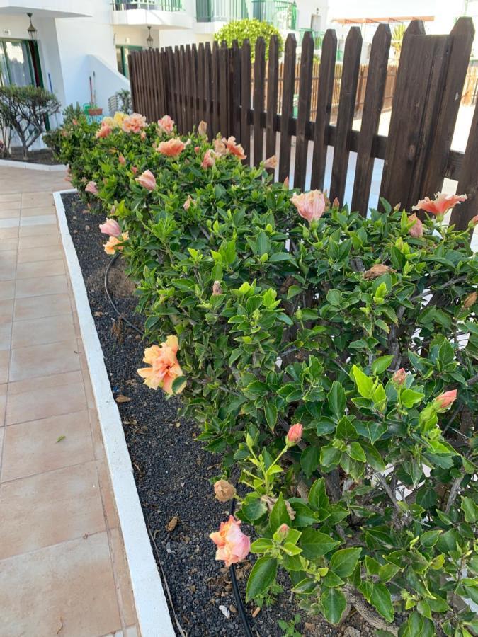 San Valentine Corralejo Exterior foto